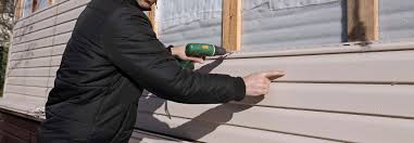 Best Vinyl Siding Installation  in Iona, ID